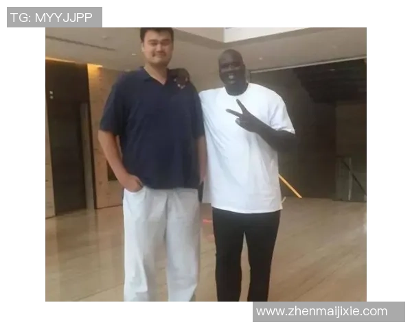 姚明与欧文罚球技巧对比分析探讨篮球罚球的重要性与影响力