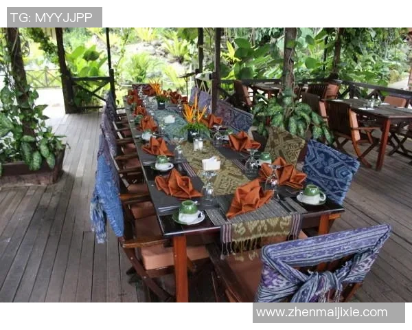 姚明探访版纳热带雨林体验多元文化与自然之美