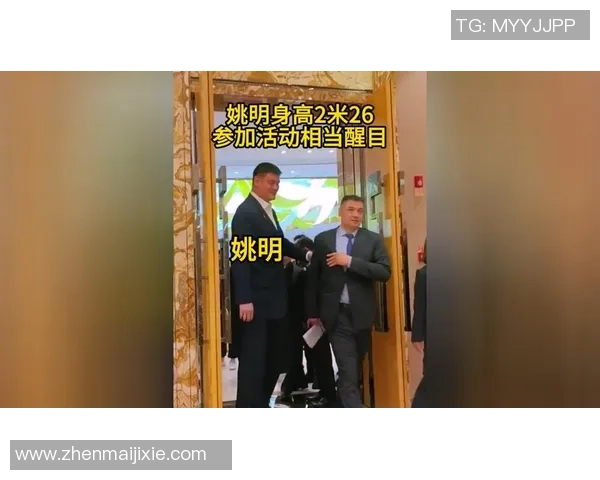 当美丽邂逅巨人姚明她的心跳与梦想交织在一起的瞬间